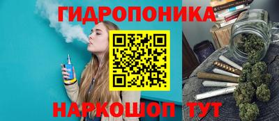 дживик Моздок
