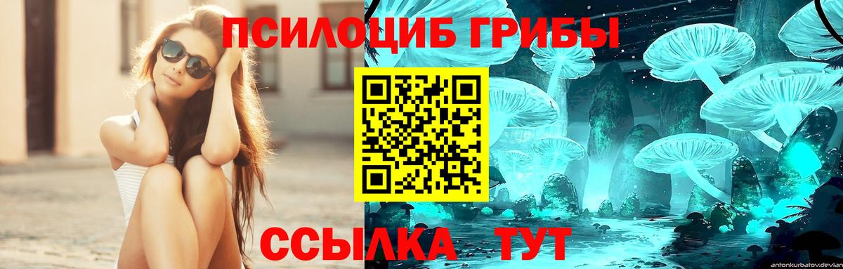 Галлюциногенные грибы мухоморы Чебоксары